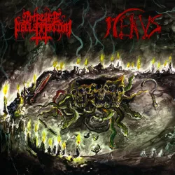 Impure Declaration/ Nekus- Malevolent Evocations